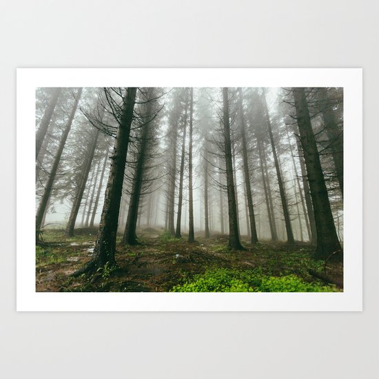 Follow me into the woods Art Print