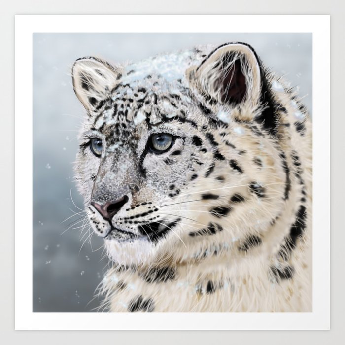Snow Leopard Art Print