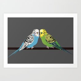 Anonymous Trade Cards BUDGERIGARS A Card Select 