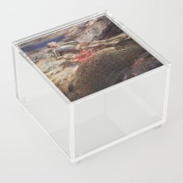 St. George and the Dragon - Briton Rivière  Acrylic Box