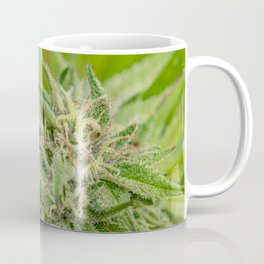 Cannabis Bud Coffee Mug