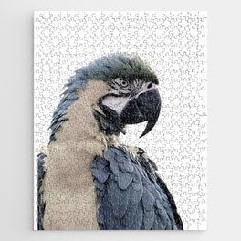 Blue Parrot Jigsaw Puzzle
