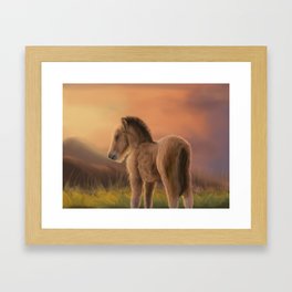 Pony Framed Art Print