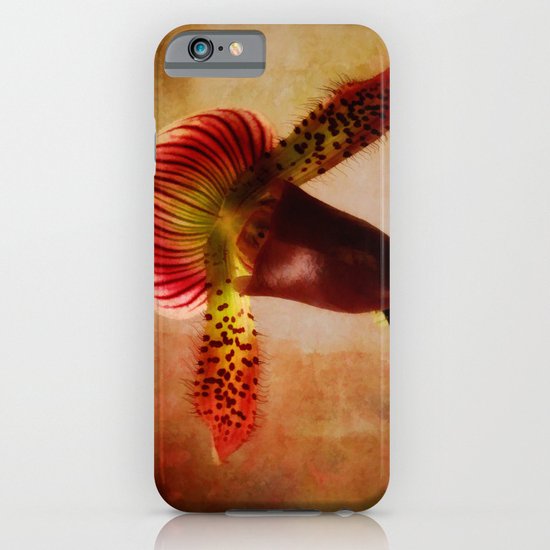 Ruby Lady Slipper Orchid iPhone & iPod Case
