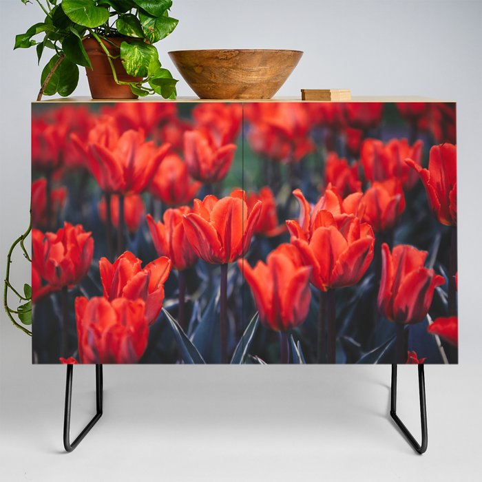 Flowers in the Park  Credenza