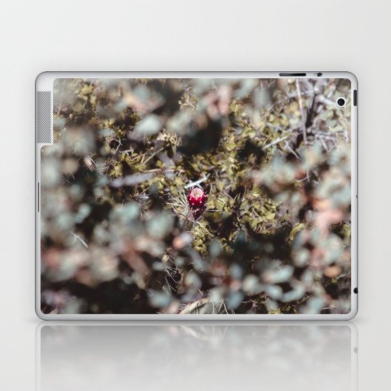 Arizona Prickly Pear Laptop & iPad Skin