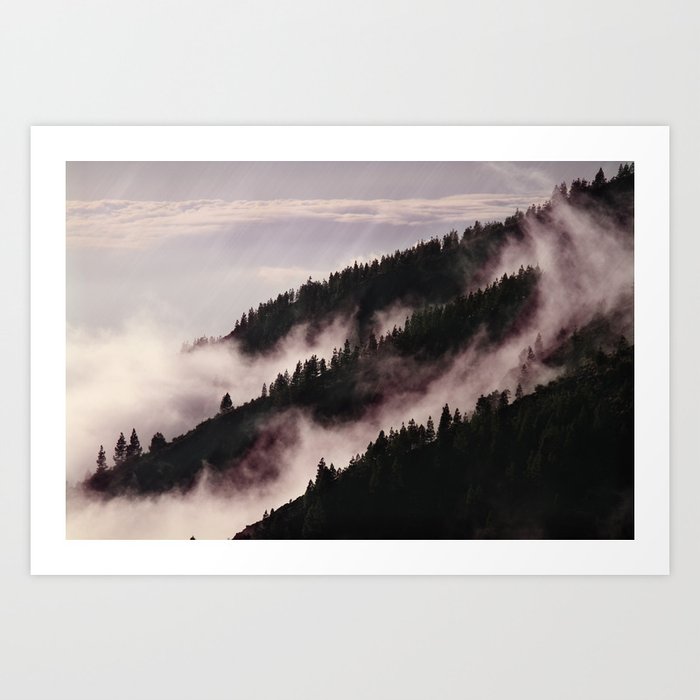 Mystic fog in the woods Art Print