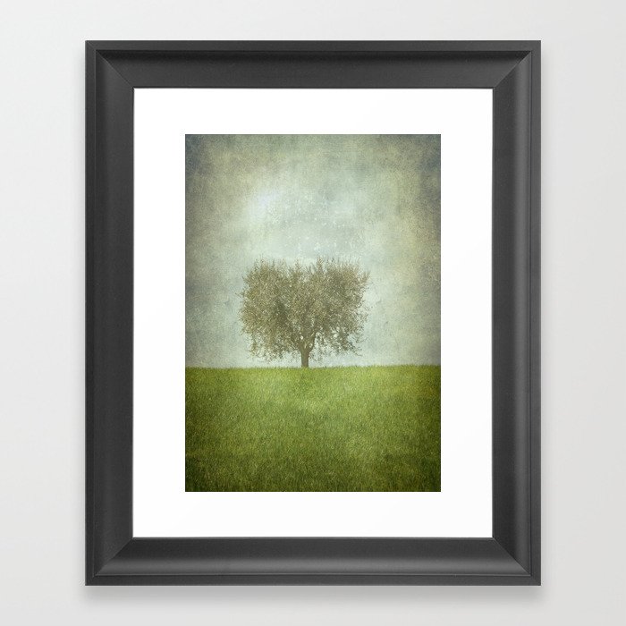 The Lone Olive Tree Framed Art Print by Artskratches | Society6