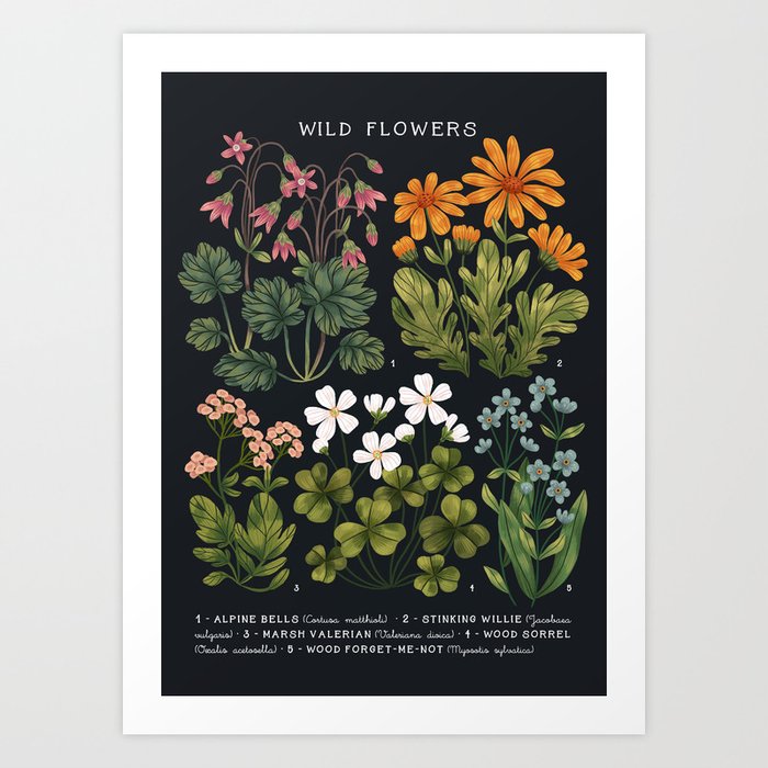 Wild Flowers ~ vol3. ~ dark vintage inspired botanical Art Print