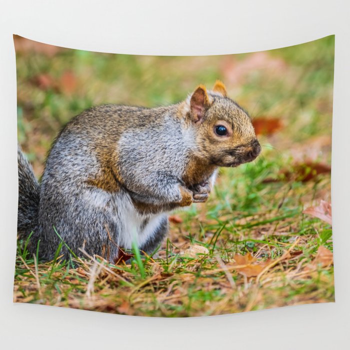 Cute Autumn Squirrel, Prepares for Winter Photograph Wall Tapestry