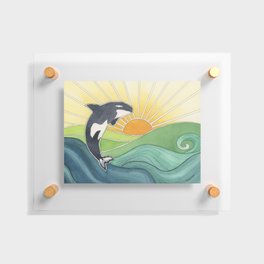 Westcoast Orca Floating Acrylic Print