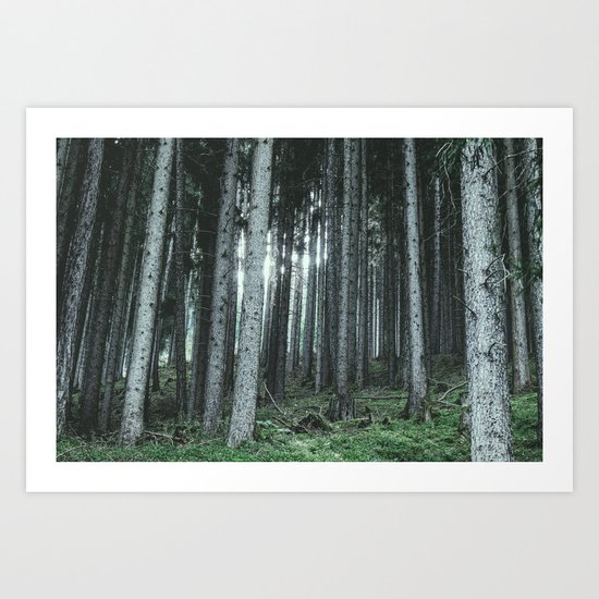 Woodland, Forest, Trees Art Print