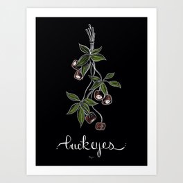 Botanical on Black Background Buckeye  Art Print