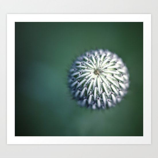 Orb Art Print