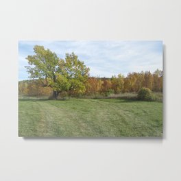 John A. Hutter Memorial Park Metal Print | Sturgeonbay, Color, Photo, Chateauhutter, Fallfoliage, Wisconsin, Autumn, Landscape, Eggharbor, Doorcounty 