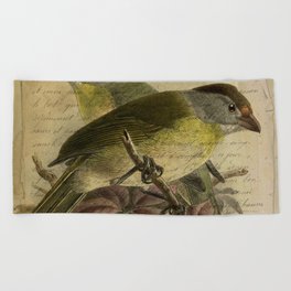 Vintage Birds Antique Illustration Beach Towel