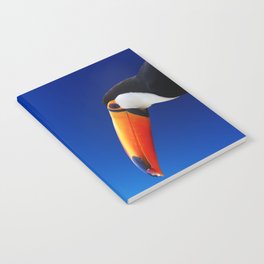 Miraculous Rare Paradise Bird Isolated UHD Notebook