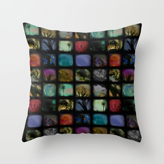Boxed In Throw Pillow