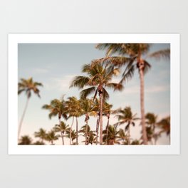 Eternal Sunshine - Modern Tropical Photograph Art Print