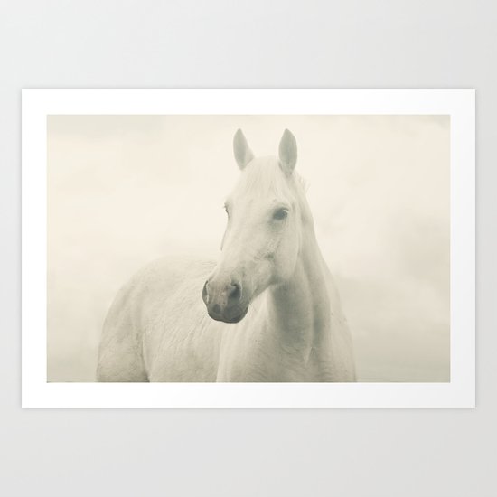 Dreamy Horse Photo Art Print