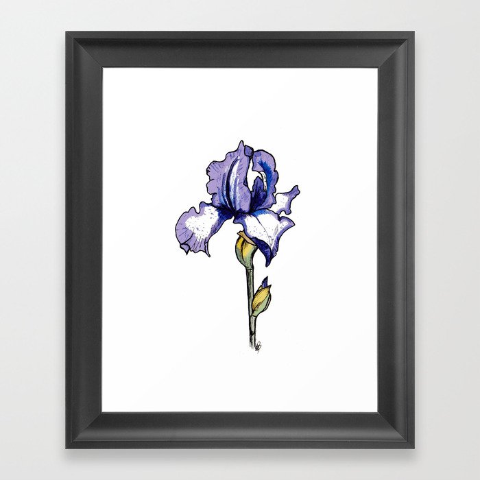 Iris Flower  Framed Art Print