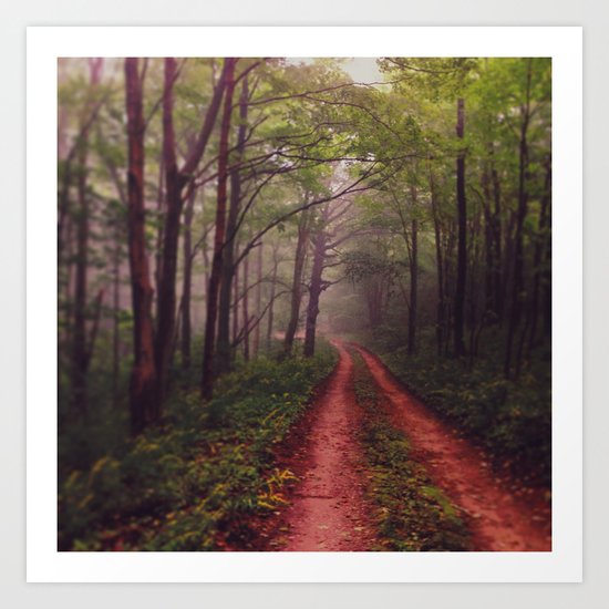 Stay Wild Art Print