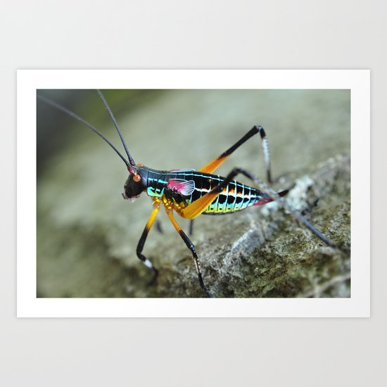 rainbow bug Art Print