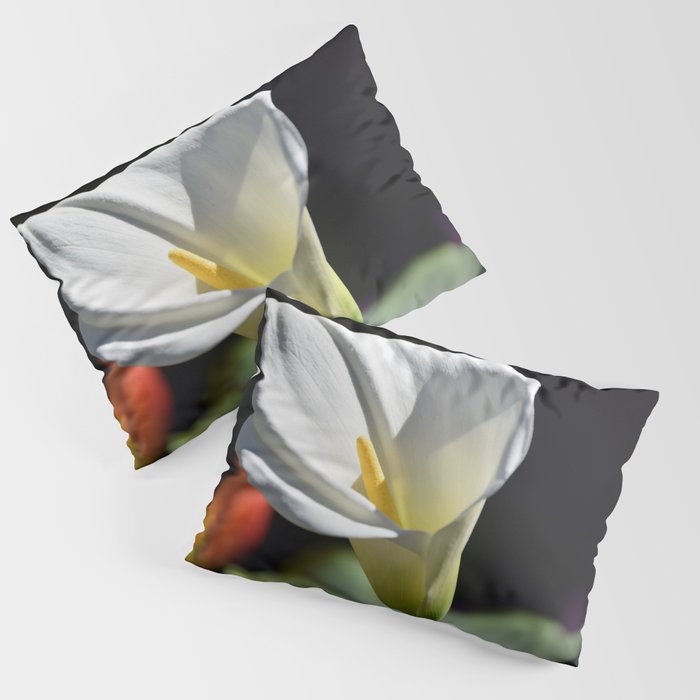 Calla Lily Pillow Sham