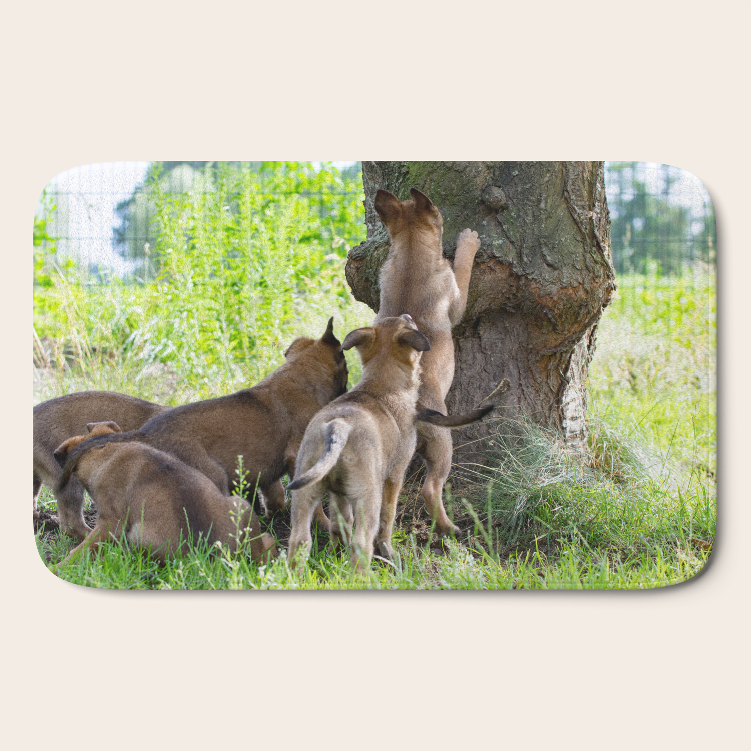Cute 8 Weeks Old Malinois Puppies Bath Mat By Tanjariedel Society6