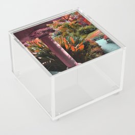 Almost unreal. In a tropical palace Acrylic Box