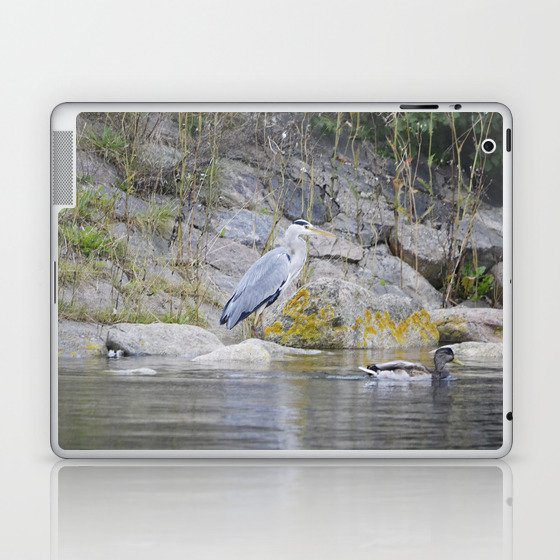Blue heron and sea duck Laptop & iPad Skin