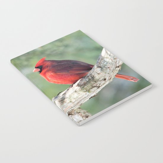 Serene Cardinal Notebook