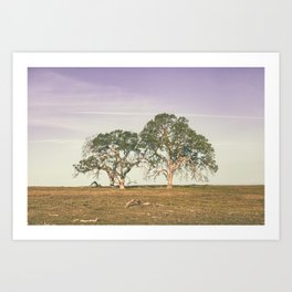 Valley Oak Trees Art Print