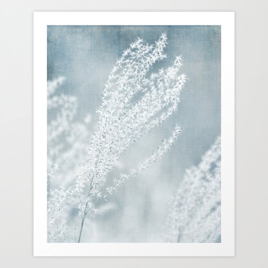 WINTER SEEDS Art Print