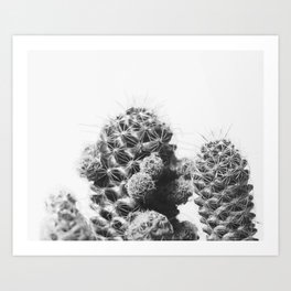 #01#b&w#cactus#succulent#plant Art Print