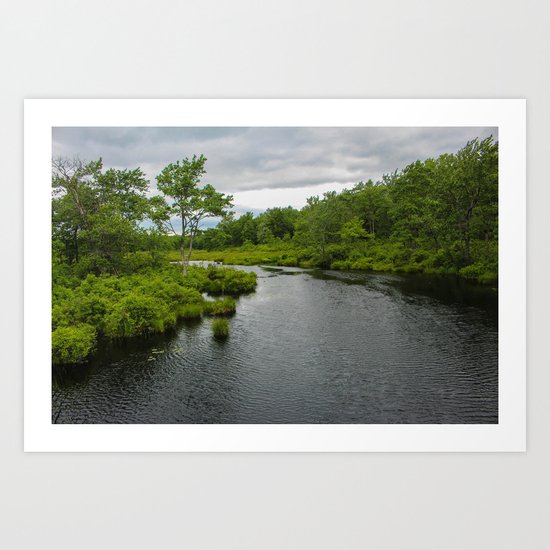 The Lake Art Print