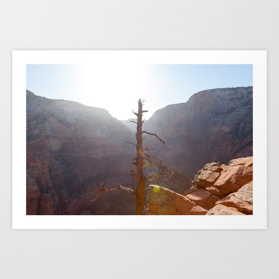 Tree High (Zion National Park, Utah) Art Print