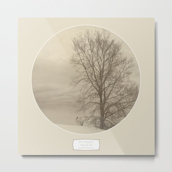 Winter Americana III Metal Print