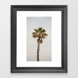 Minimal Palm //  Framed Art Print