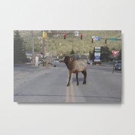 Elk Walking Metal Print