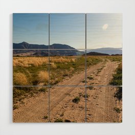 Choices - Lake Isabella, California Wood Wall Art