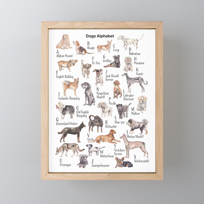 Dogs Alphabet Framed Mini Art Print