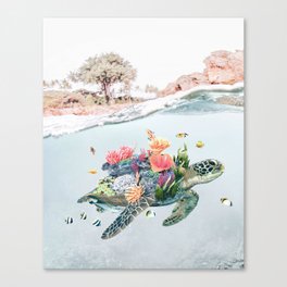 Coral Turtle • Save the Planet Canvas Print