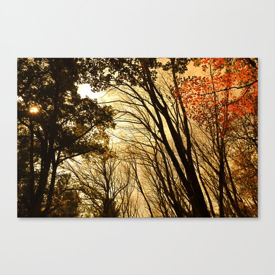 Autumn Boughs Canvas Print