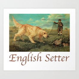 English Setter Art Print | Animal 