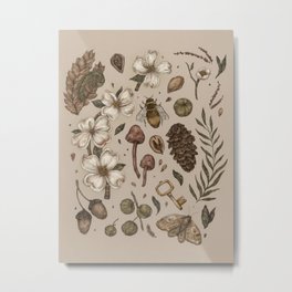 Nature Walks (Light Background) Metal Print | Curated, Digital, Moth, Pinecone, Painting, Plants, Botanical, Acorn, Nature, Dogwood 