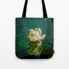 Water Lily after rain Tote Bag