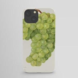 Vintage bunch of green grapes illustration.2 iPhone Case