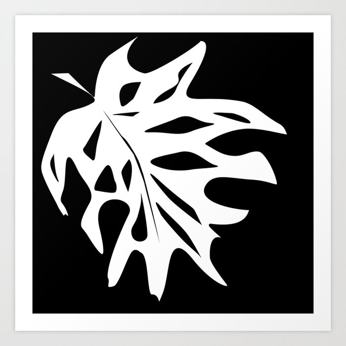 A White Sheet Of Monstera On Black Background Art Print By