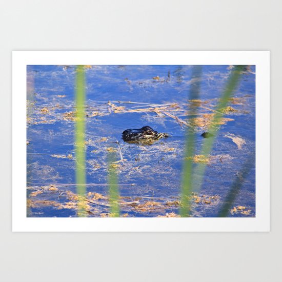 Alligator Art Print